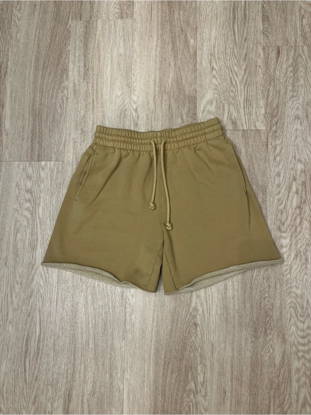 aritzia shorts